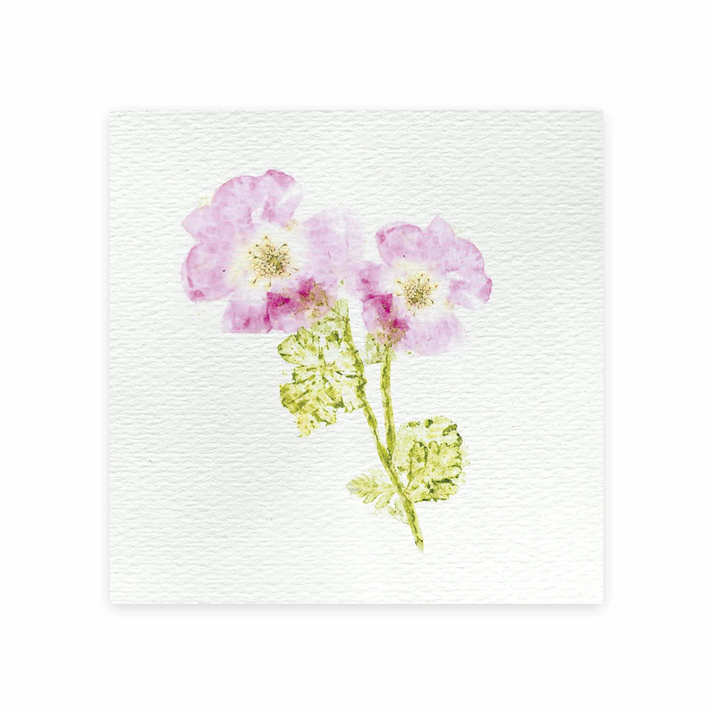 Janod - Kit Presse à Fleurs Enfant - 6 Activités à Réaliser - Les Ateliers Déco - Kit Loisir Créatif Enfant - Motricité Fine et Concentration - Dès 7 Ans, J07879