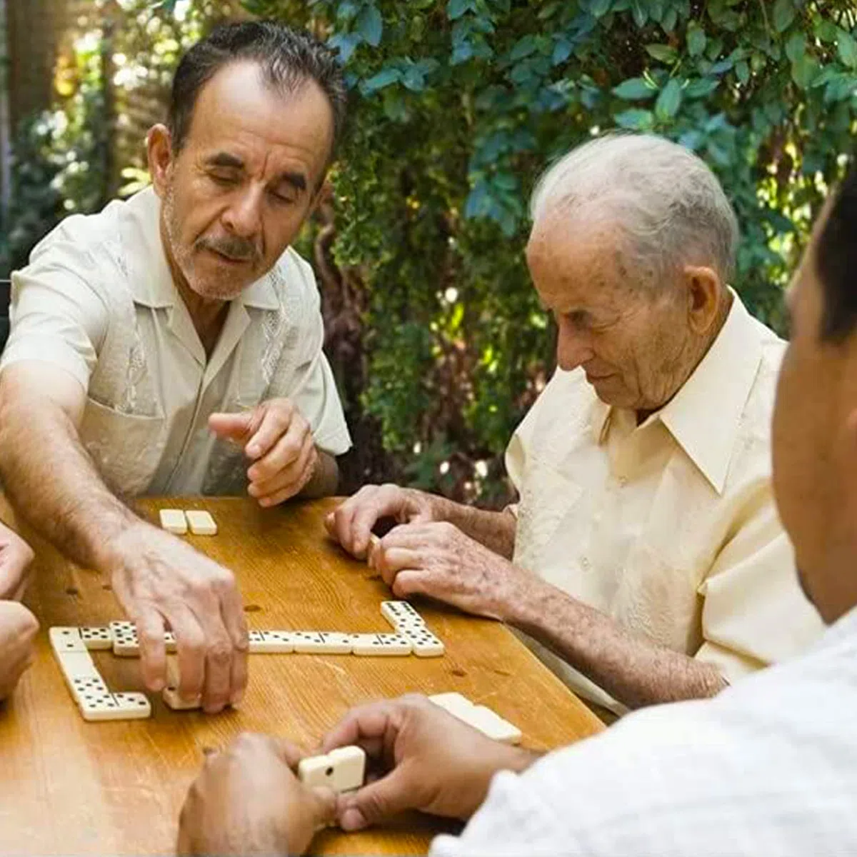 QLSKI Dominos Set,Divertissement Divertissement Voyage, Coffret de Dominos, Jeu de société d'intérieur en Cuir, Jouet en Bois, Jeu de société emballé pour Adultes et Enfants (28pcs)