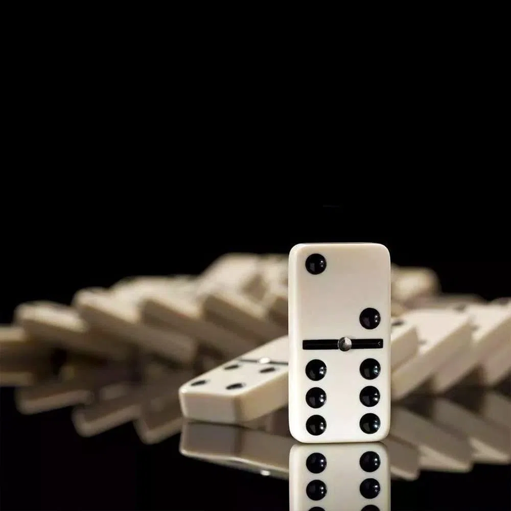 QLSKI Dominos Set,Divertissement Divertissement Voyage, Coffret de Dominos, Jeu de société d'intérieur en Cuir, Jouet en Bois, Jeu de société emballé pour Adultes et Enfants (28pcs)