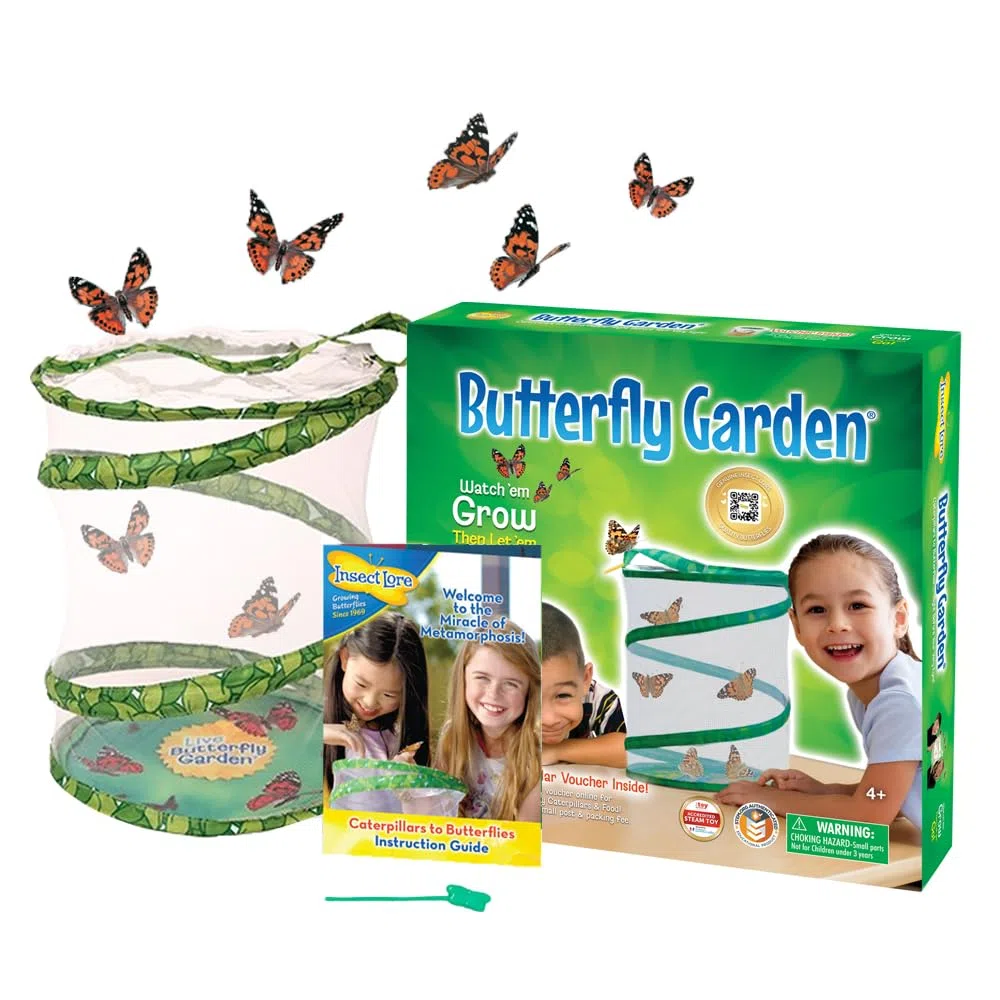 Insect Lore Jardin de Papillons avec 3 à 5 chenilles vivantes