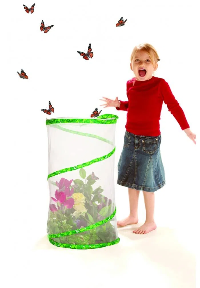 Insect Lore - Elevage de Papillons - Modele pavillon