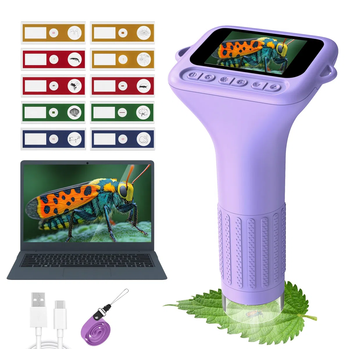 USCAMEL Microscope Numérique pour Enfant Petiscope : 1000x Microscope de Poche Écran IPS 2.0" Lumières LED Portable Miniscope Kit - Jouet 3 à 12 Ans Éducatif pour Explorateurs de la Nature