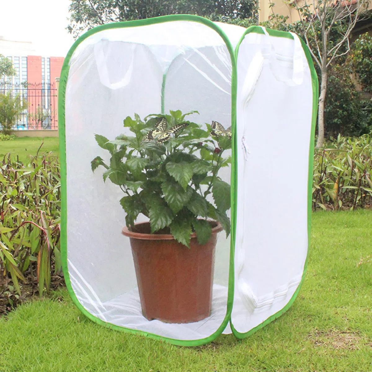 Yeory Butfly reproduisant Net Pliage Habitat Habitat Cage de Papillon Blanc Cage de Papillon pour Enfants Garden Science Education Tool 40x40x60cm, Cage Papillon