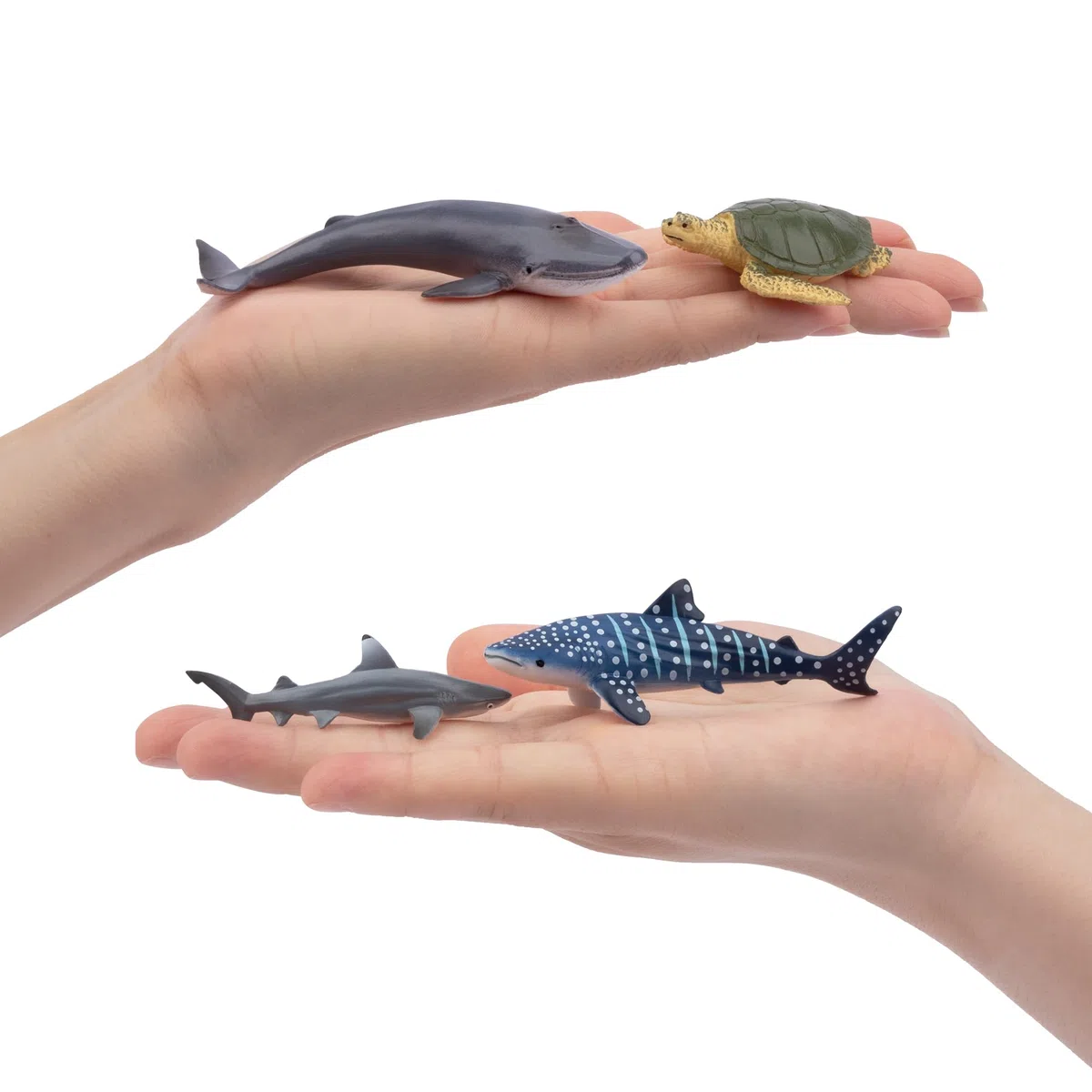 Toymany Ensemble de 24 Figurines d'Animaux Marins et d'Océan - Mini-Animaux en Plastique, Poissons de Mer, Poulpe - pour Jouer ou Comme Décoration