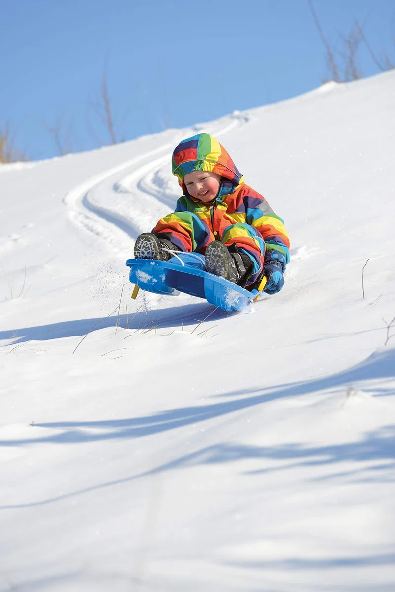 Dantoy Bob Sledge with Brakes, Toboggan for Winter Snow, Made in Denmark (Various Colours)