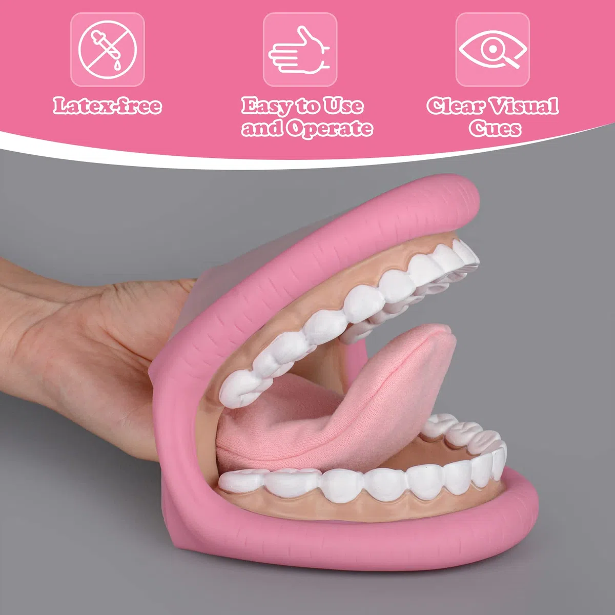 Ultrassist Modèle dentaire, Pour apprendre aux enfants à se brosser les dents, Poupée à gants bucco-dentaires adaptée à l'enseignement des soins bucco-dentaires, Avec une brosse à dents