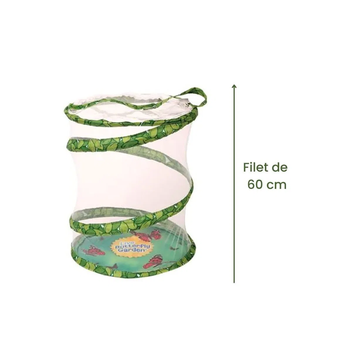 Insect Lore - Elevage de Papillons - Modele pavillon