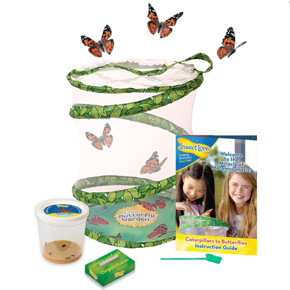 Insect Lore Jardin de Papillons avec 3 à 5 chenilles vivantes