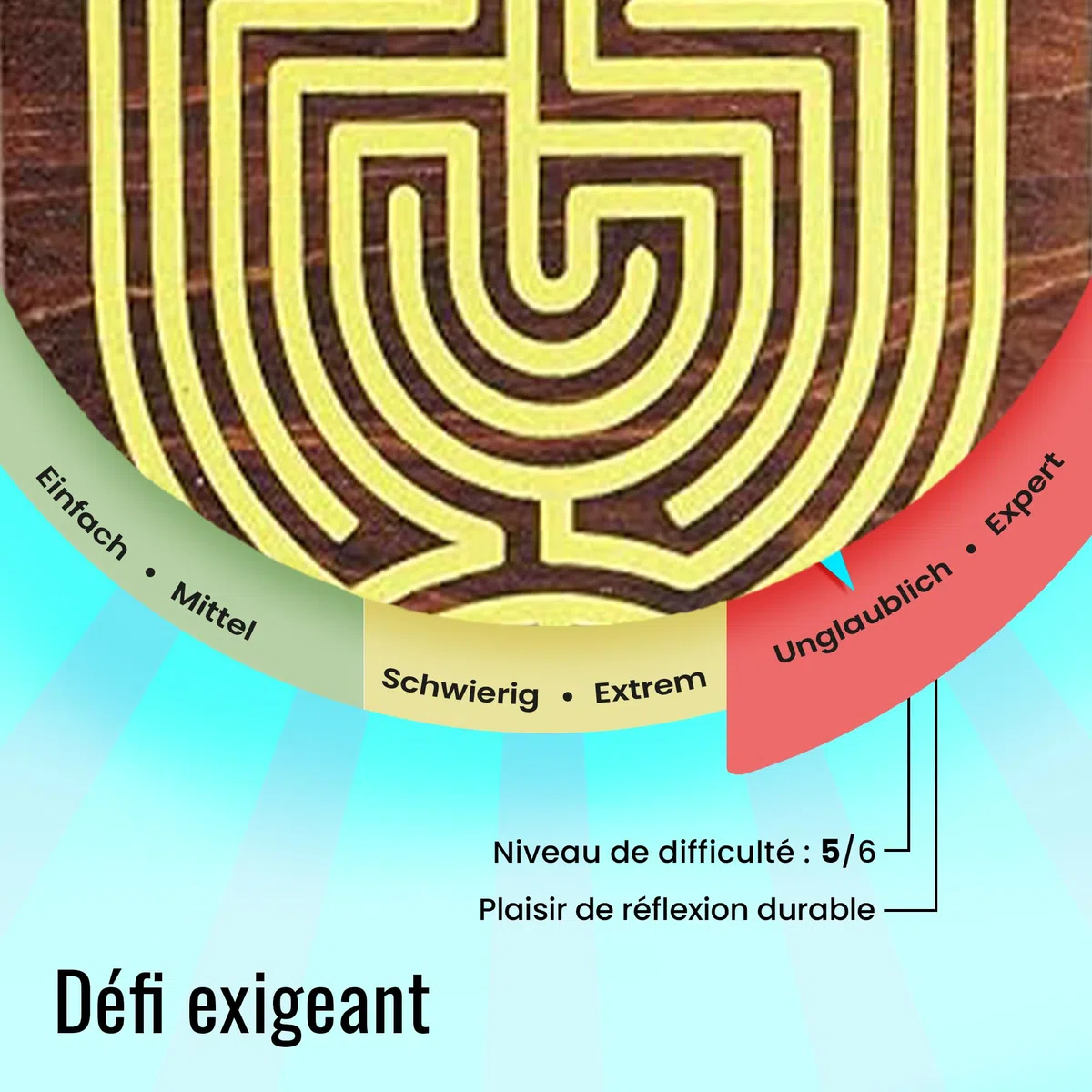 Logica Jeux Art. Coffret Labyrinthe - Casse-Tête en Bois - Coffret Secret - Difficultè 5/6 Incroyable - Collection Leonardo da Vinci