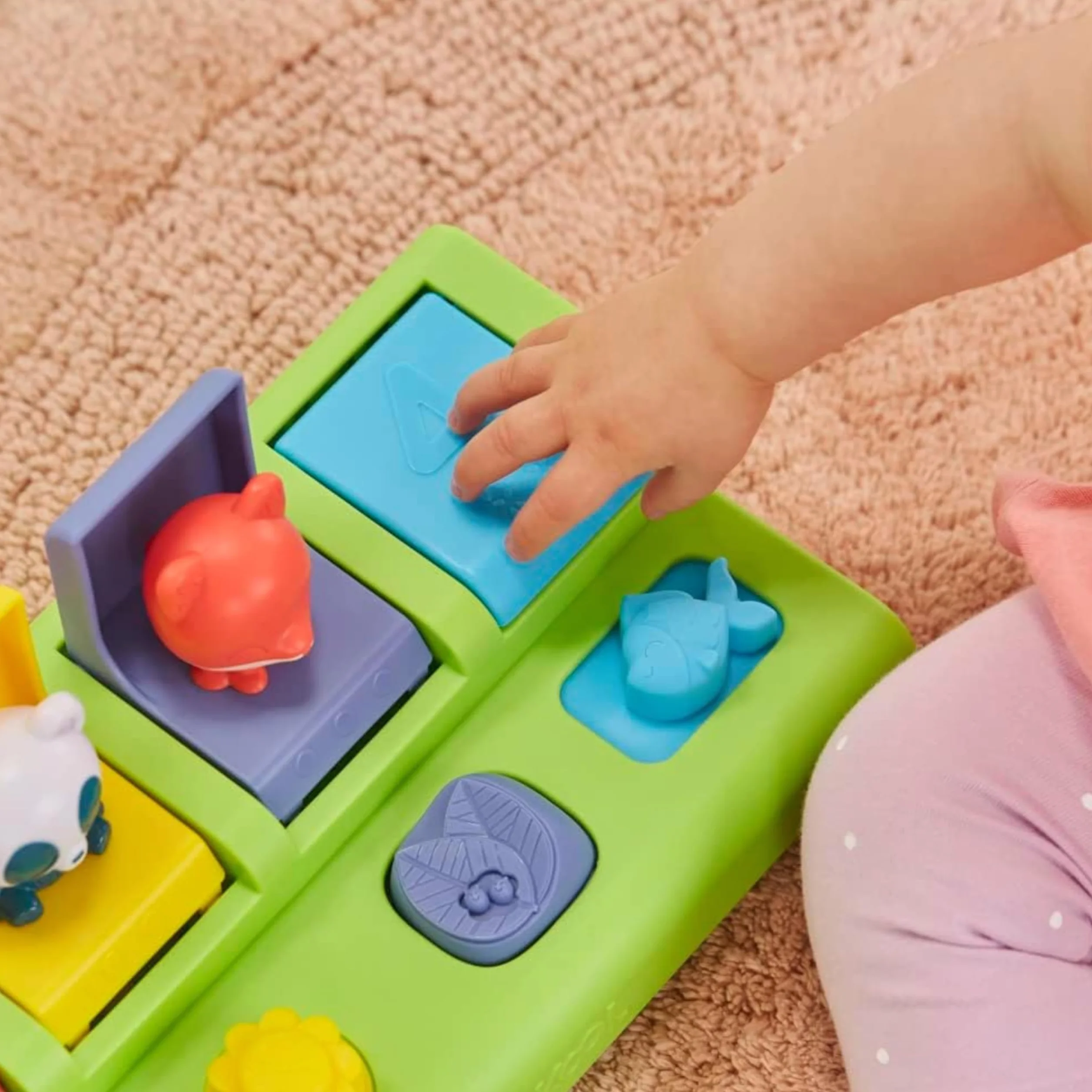 Playskool Les Animaux sauteurs, Jouet Coucou pour bébés et Jeunes Enfants, à partir de 9 Mois, (Exclusivité Amazon)