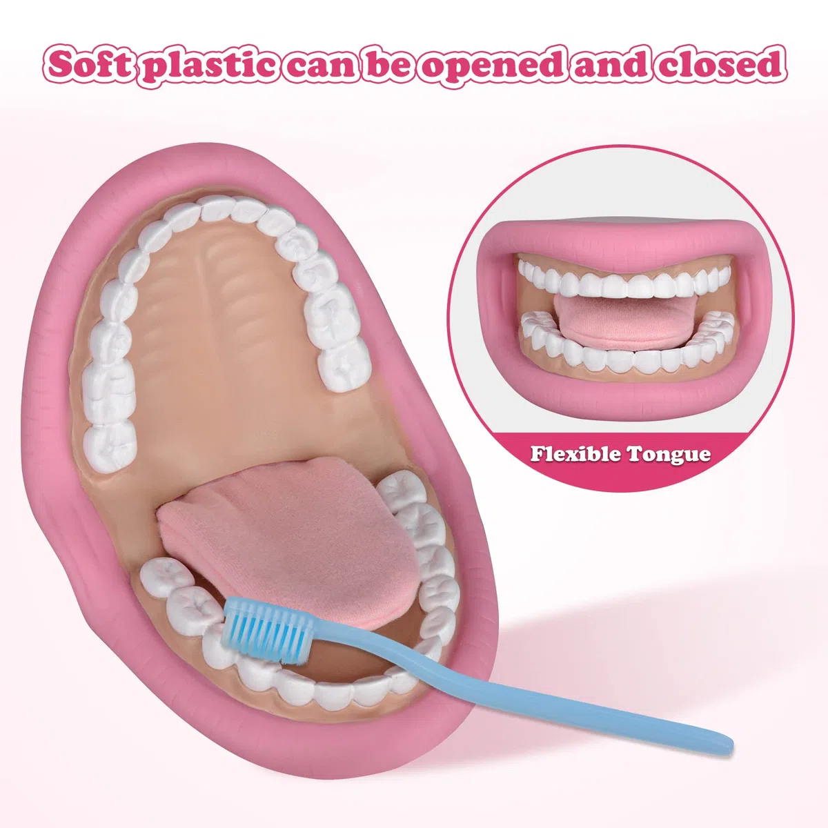 Ultrassist Modèle dentaire, Pour apprendre aux enfants à se brosser les dents, Poupée à gants bucco-dentaires adaptée à l'enseignement des soins bucco-dentaires, Avec une brosse à dents
