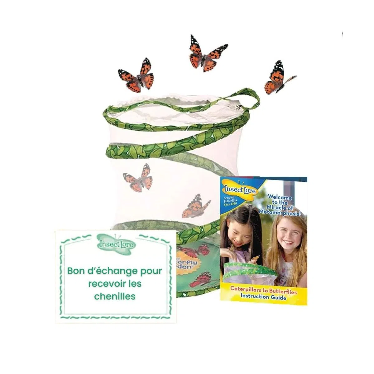 Insect Lore - Elevage de Papillons - Modele pavillon