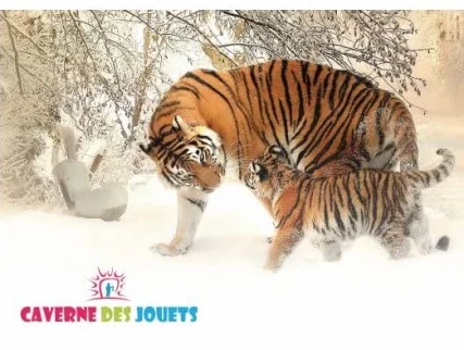 cavernedesjouets Jeu de Lancer de Sacs, Poches - Planche Bois 50x30cm, 3 Trous Cible, 6 Sacs - Cornhole - Plein air, Exterieur - Set Jeu Enfant et Carte