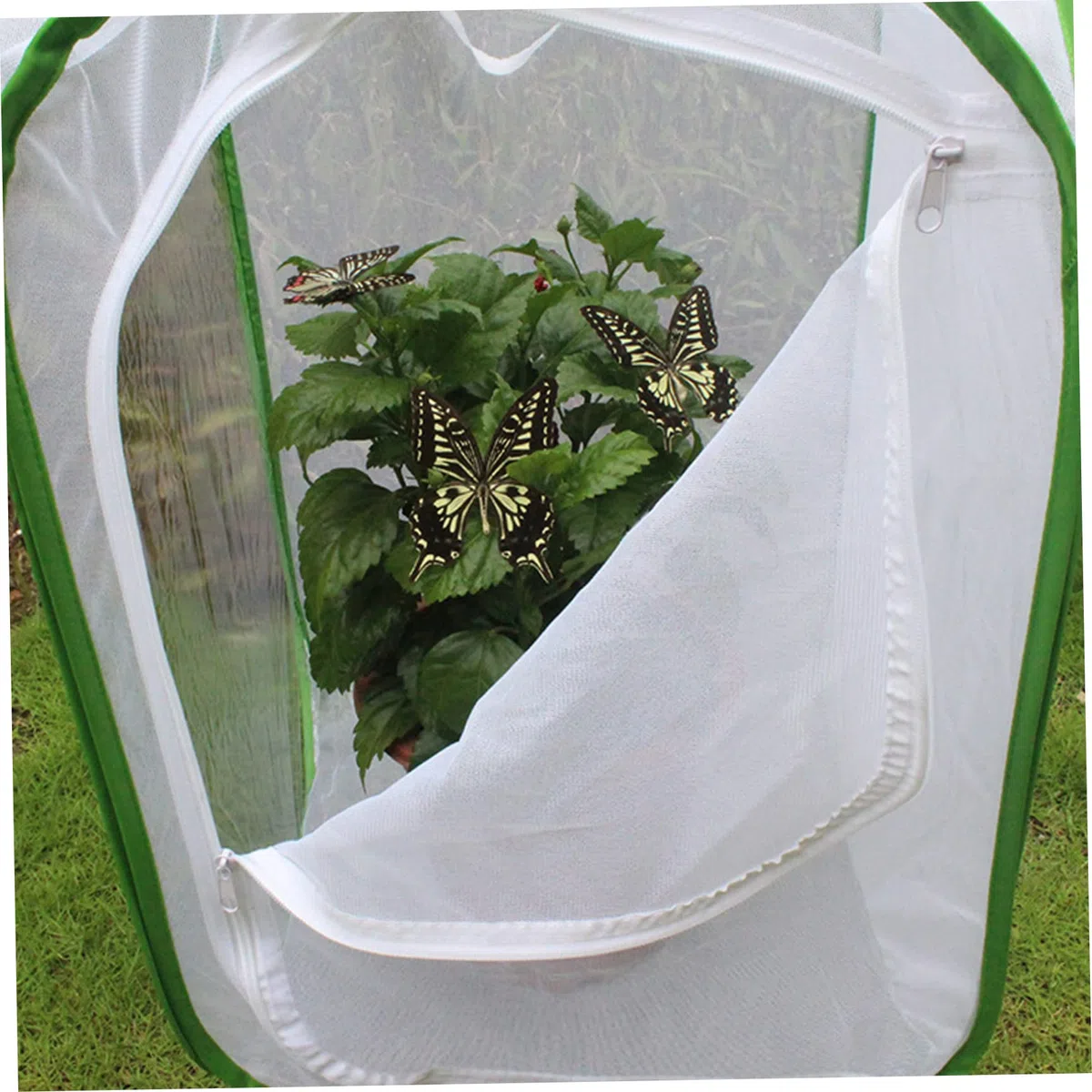 Yeory Butfly reproduisant Net Pliage Habitat Habitat Cage de Papillon Blanc Cage de Papillon pour Enfants Garden Science Education Tool 40x40x60cm, Cage Papillon